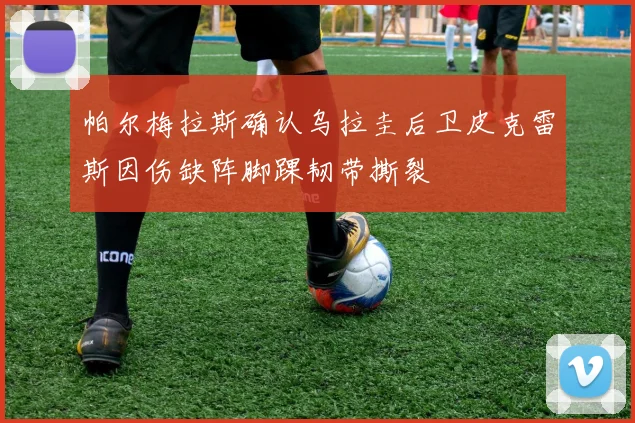 帕尔梅拉斯确认乌拉圭后卫皮克雷斯因伤缺阵脚踝韧带撕裂